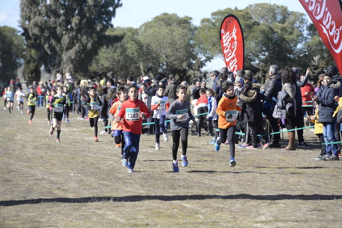 El cross de Sonseca, en imágenes