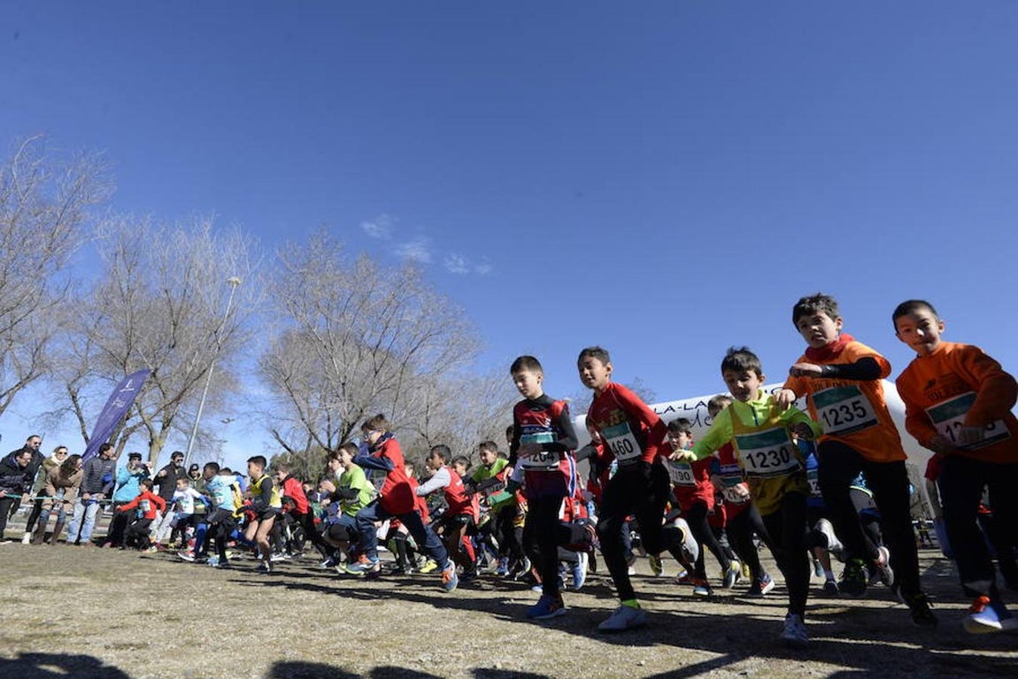 El cross de Sonseca, en imágenes