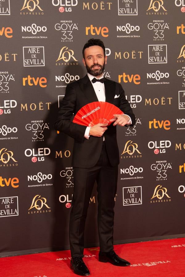 Premios Goya 2019: El cine se viste de gala en Sevilla (III)