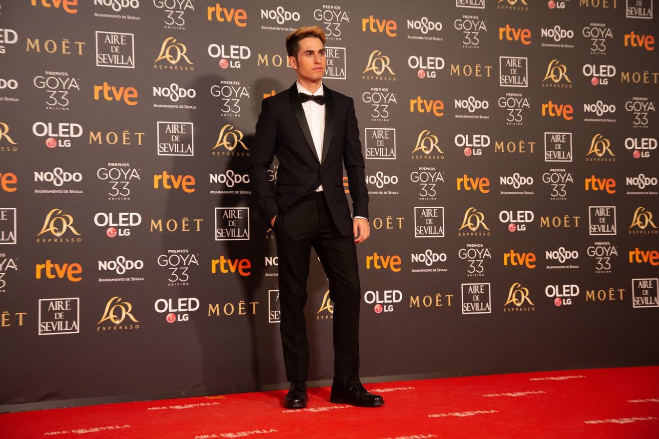 Premios Goya 2019: El cine se viste de gala en Sevilla (III)