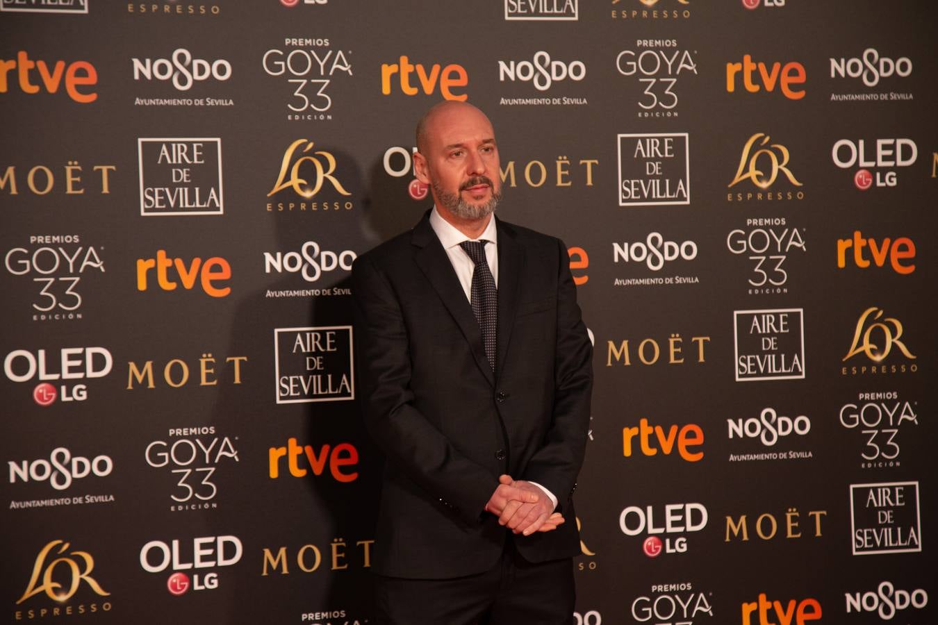 Premios Goya 2019: El cine se viste de gala en Sevilla (y IV)