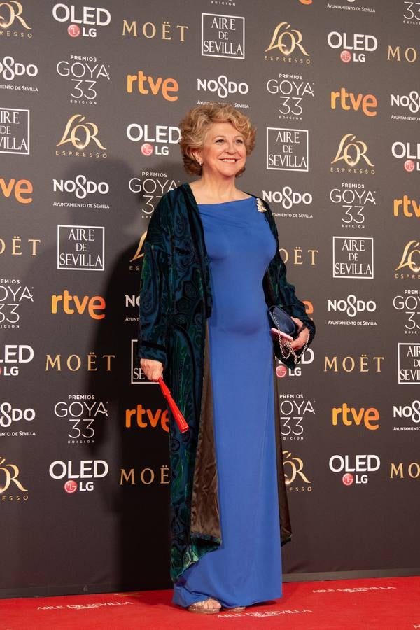 Premios Goya 2019: El cine se viste de gala en Sevilla (y IV)