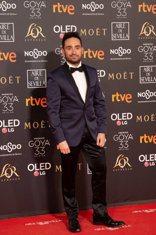 Premios Goya 2019: El cine se viste de gala en Sevilla (III)