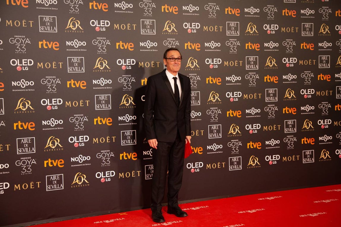 Premios Goya 2019: El cine se viste de gala en Sevilla (II)