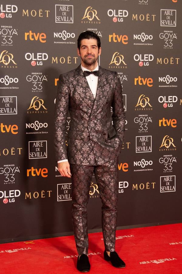 Premios Goya 2019: El cine se viste de gala en Sevilla (II)