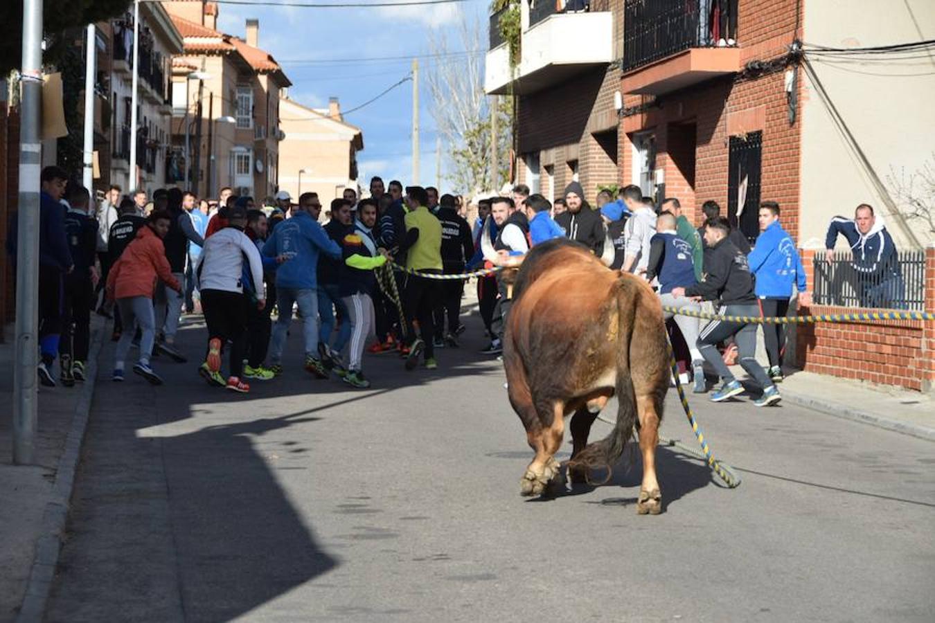 «Ratonero» lleva la pasión taurina a Yuncos