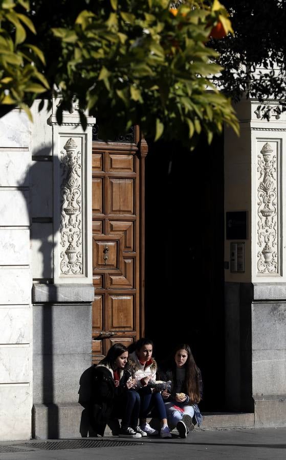 El rayo de sol que no cesa en el invierno de Córdoba, en imágenes