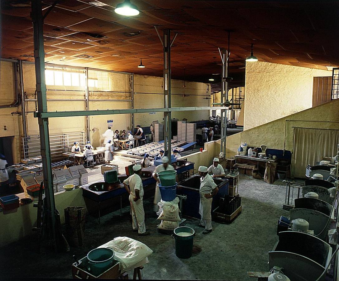 Inés Rosales o cómo hacer 400.000 tortas de aceite cada día