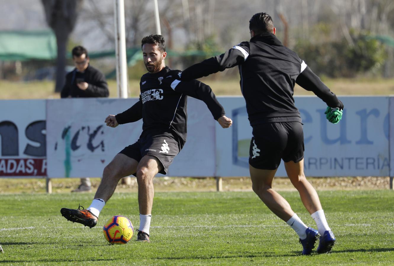 Los fichajes del Córdoba CF, en imágenes