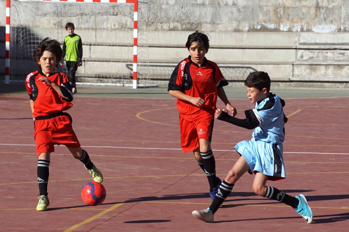 Las mejores imágenes del encuentro de futsal alevín entre el Asunción Cuestablanca y el Amor de Dios. 