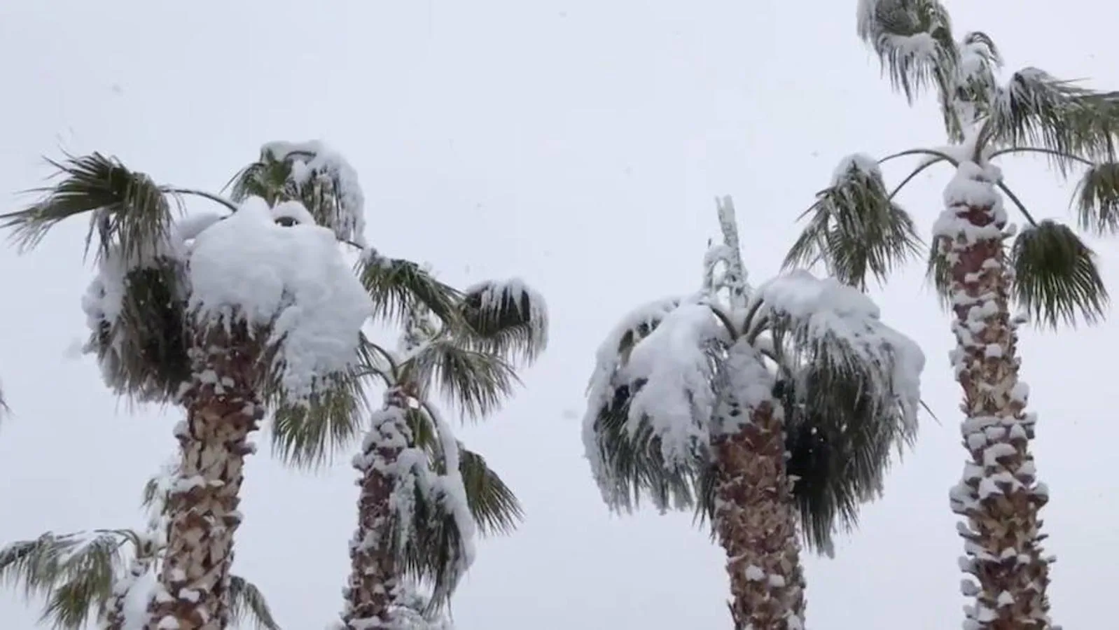 Las mejores imágenes de la primera nevada en una década en Las Vegas