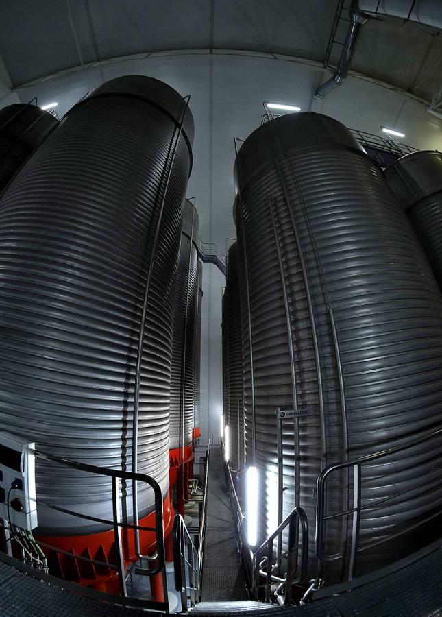 Un paseo gráfico por la fábrica de cerveza líder en Andalucía