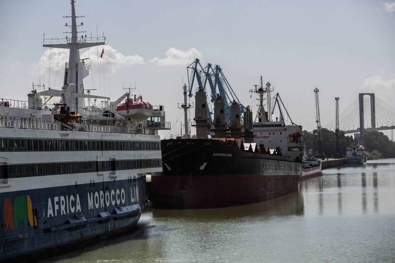 Plena actividad en el astillero del Puerto de Sevilla