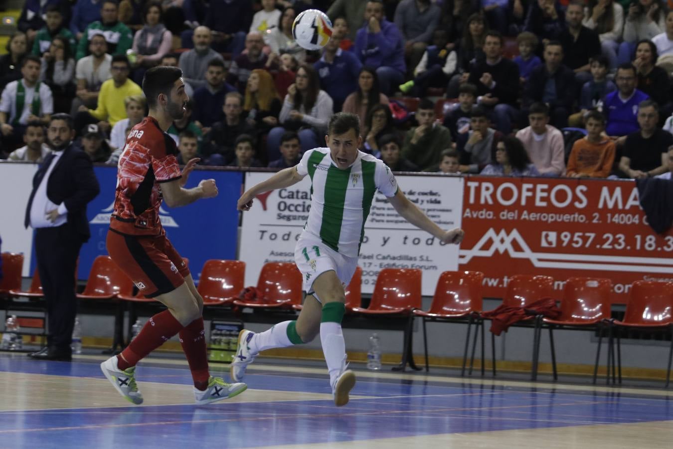 El Córdoba CF Futsal-ElPozo Ciudad de Murcia, en imágenes