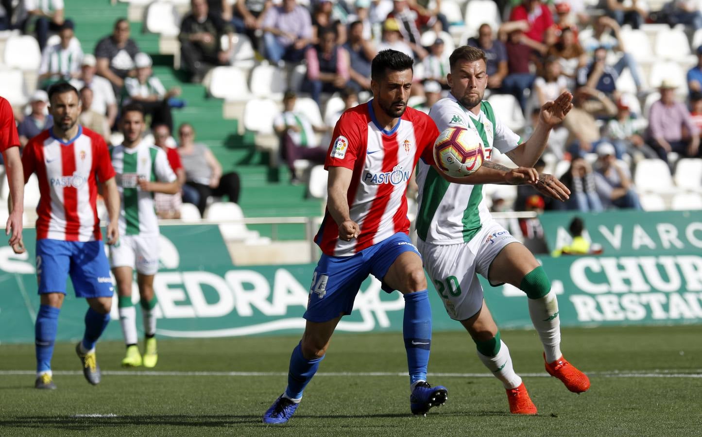 Las mejores imágenes del Córdoba CF-Sporting