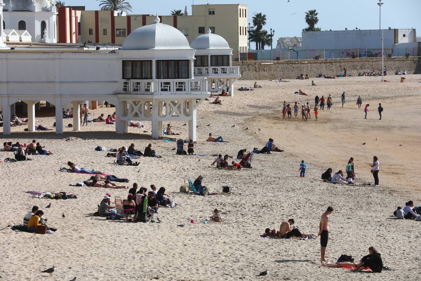 Cádiz se llena de coplas y público en un gran Carnaval Chiquito