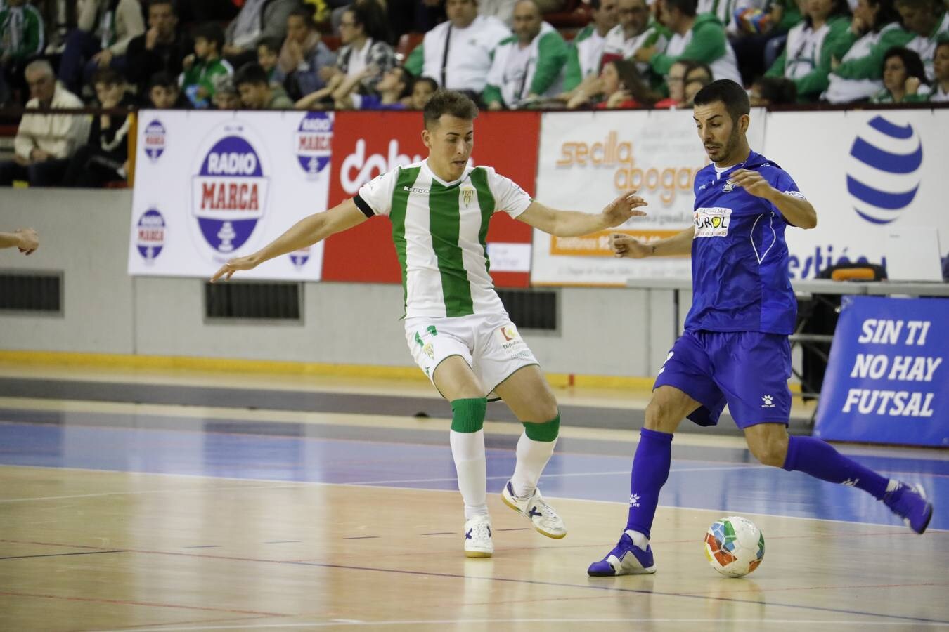 El Córdoba CF Futsal-Dimurol Tenerife, en imágenes