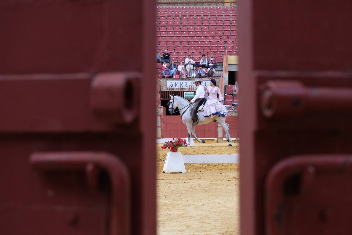 El espectáculo «La equitación y el impresionismo», en imágenes
