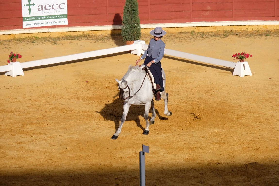 El espectáculo «La equitación y el impresionismo», en imágenes