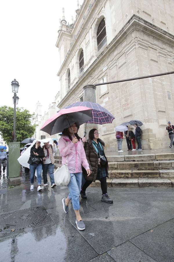 En imágenes, abril arranca con las primeras lluvias importantes en Sevilla