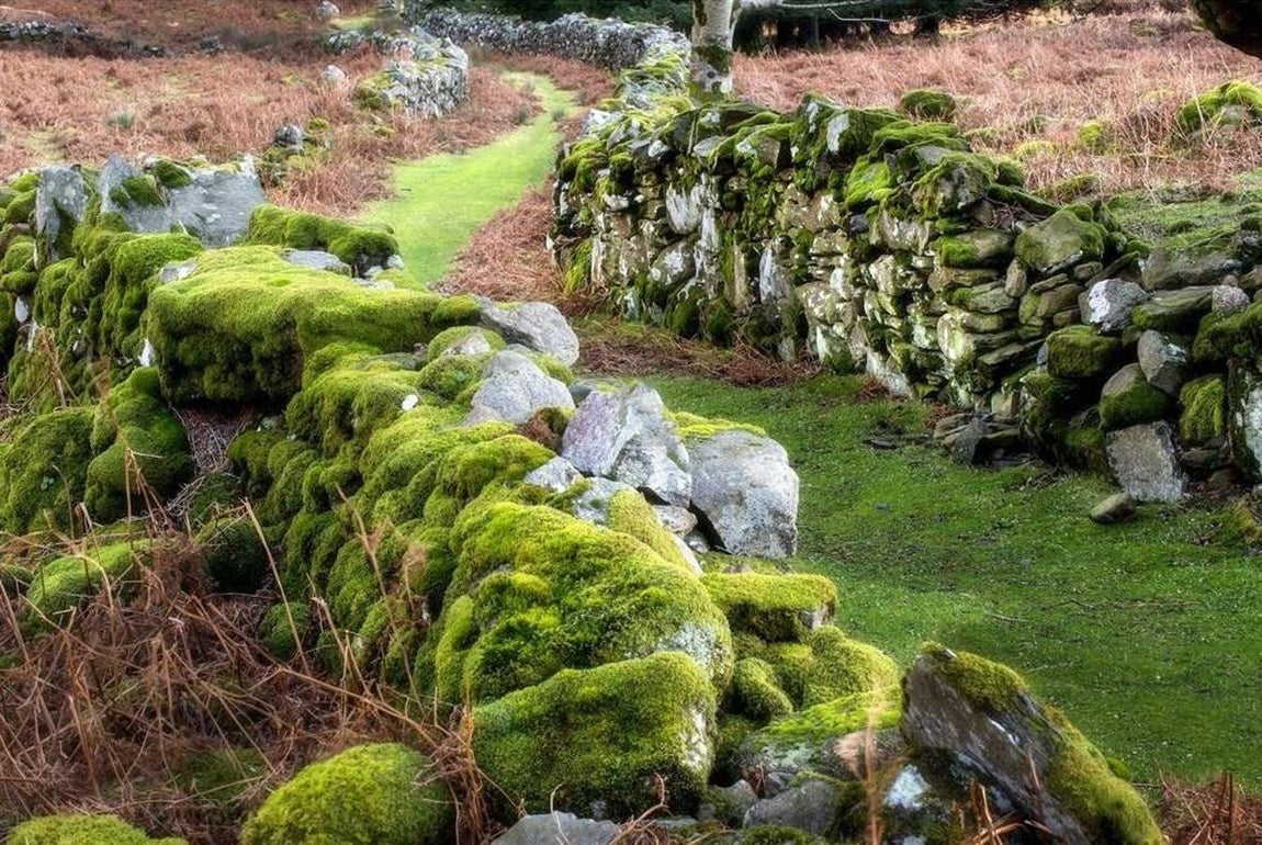 Luggala Lodge. Las dos propiedades permanecieron durante años en alquiler, de ahí el paso de tantas celebridades. El coste de una semana en Cloghoge House era de 3.500 euros mientras que para disfrutar de Luggala Lodge habría que desembolsar 20.000 euros. Esa posibilidad, por el momento, no existe. El propietario, harto de trámites temporales, quiere venderla por 28 millones de euros