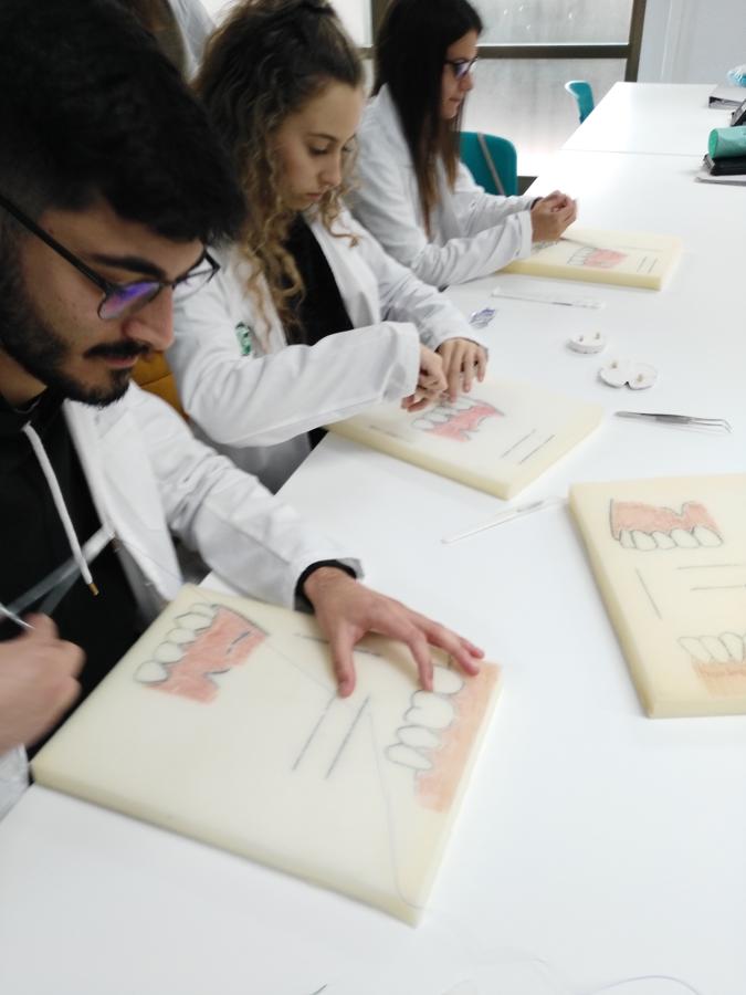 La Fundación Albor Cádiz presenta el primer campus superior de FP sanitario