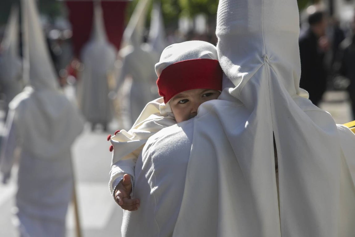 La procesión de la Borriquita de Córdoba, en imágenes