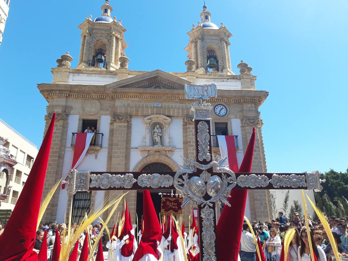 FOTOS: Borriquita en la Semana Santa de Cádiz 2019. Domingo de Ramos