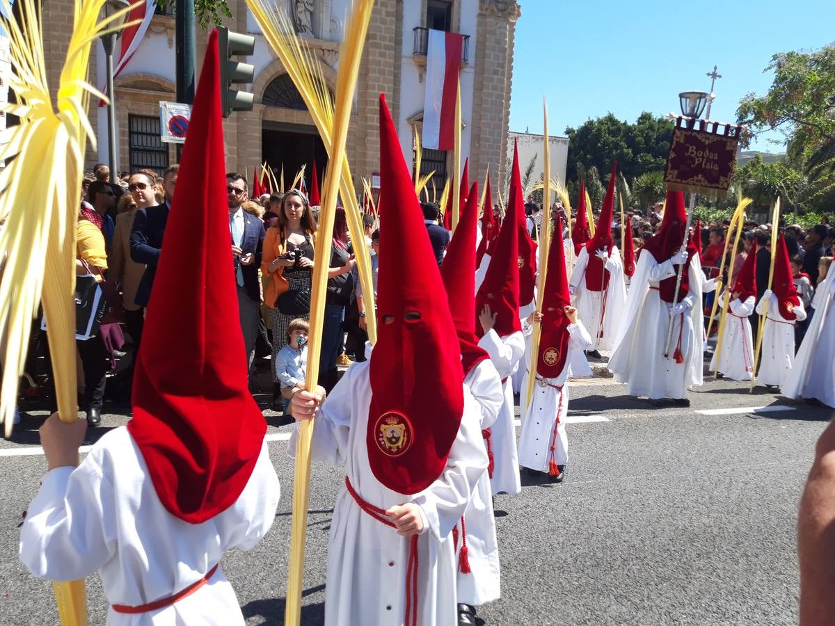 FOTOS: Borriquita en la Semana Santa de Cádiz 2019. Domingo de Ramos