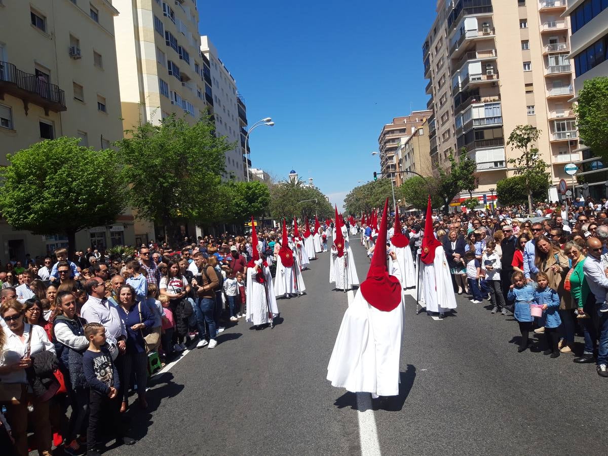 FOTOS: Borriquita en la Semana Santa de Cádiz 2019. Domingo de Ramos