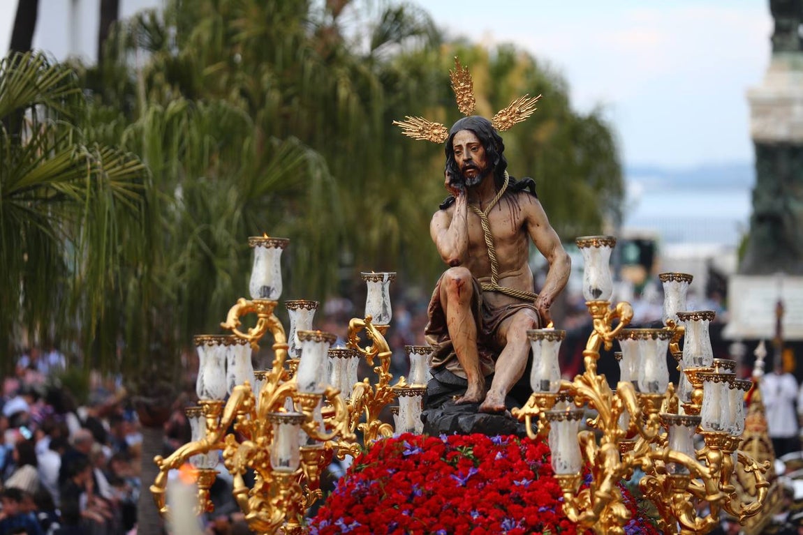 FOTOS: Humildad y Paciencia en la Semana Santa de Cádiz. Domingo de Ramos