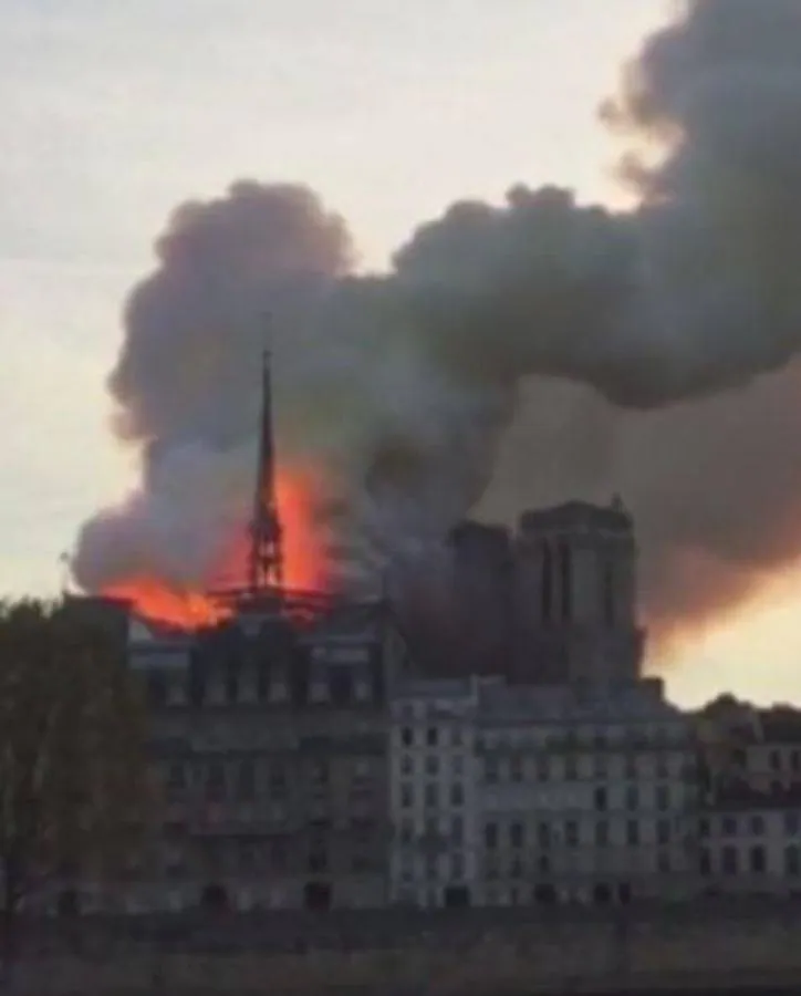 Lolita Flores: «París se queda sin su luz, Notre Dameparis arde, tristeza profunda». 