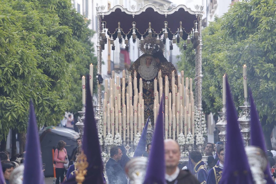La procesión del Císter de Córdoba, en imágenes