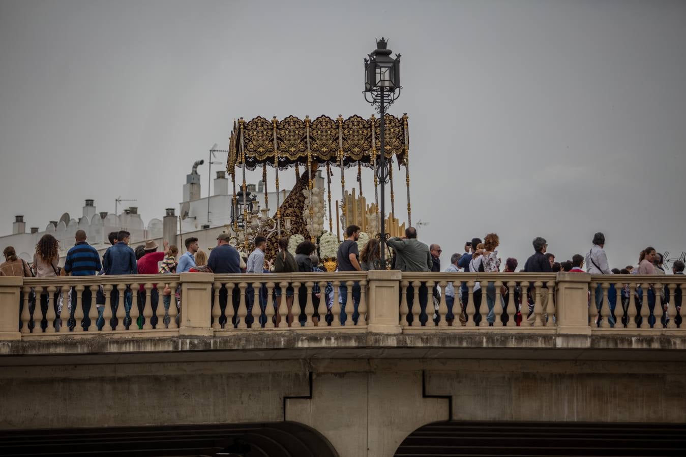 Impresionantes imágenes de la hermandad de San Bernardo