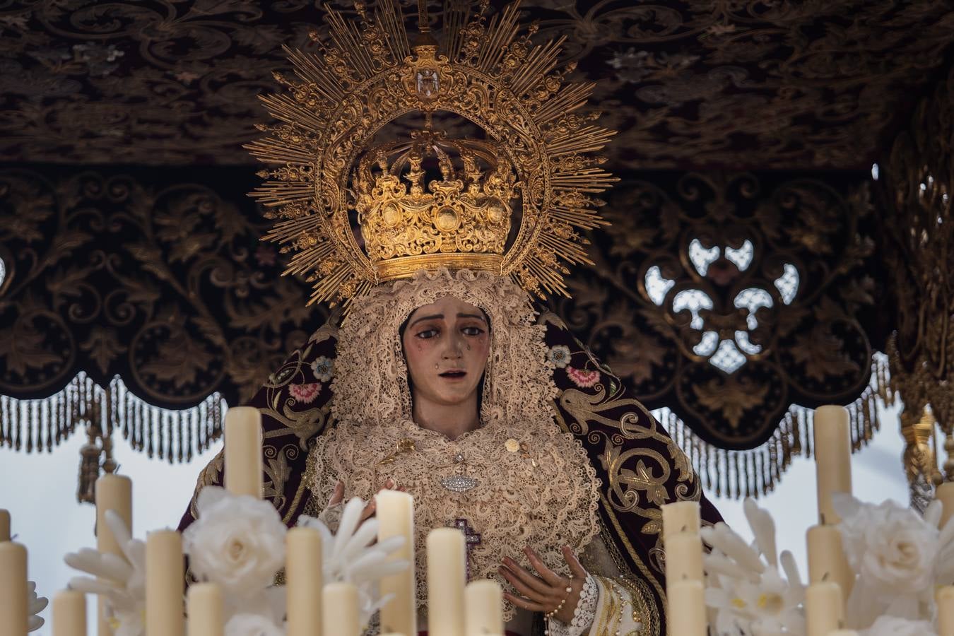 Impresionantes imágenes de la hermandad de San Bernardo