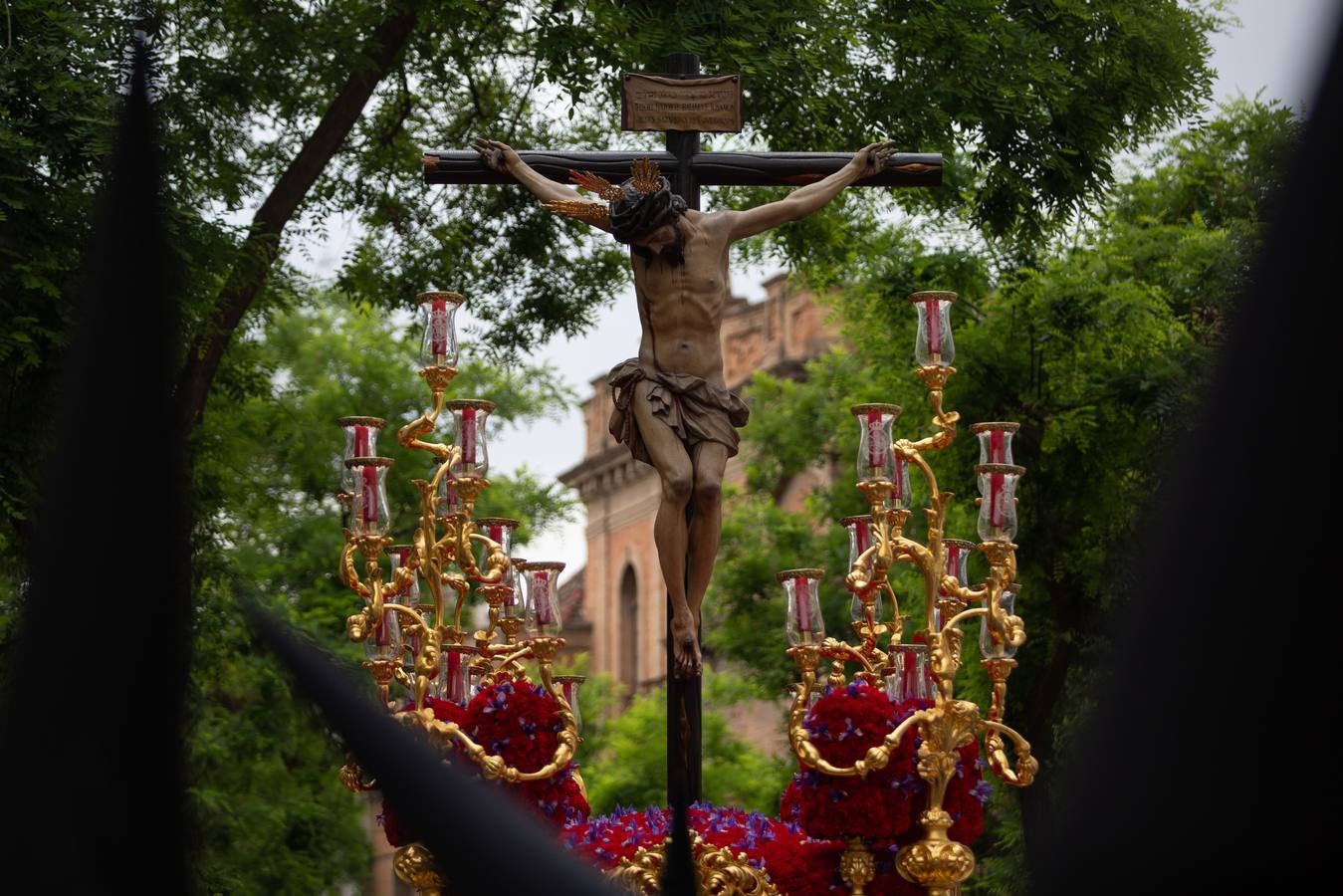 Impresionantes imágenes de la hermandad de San Bernardo