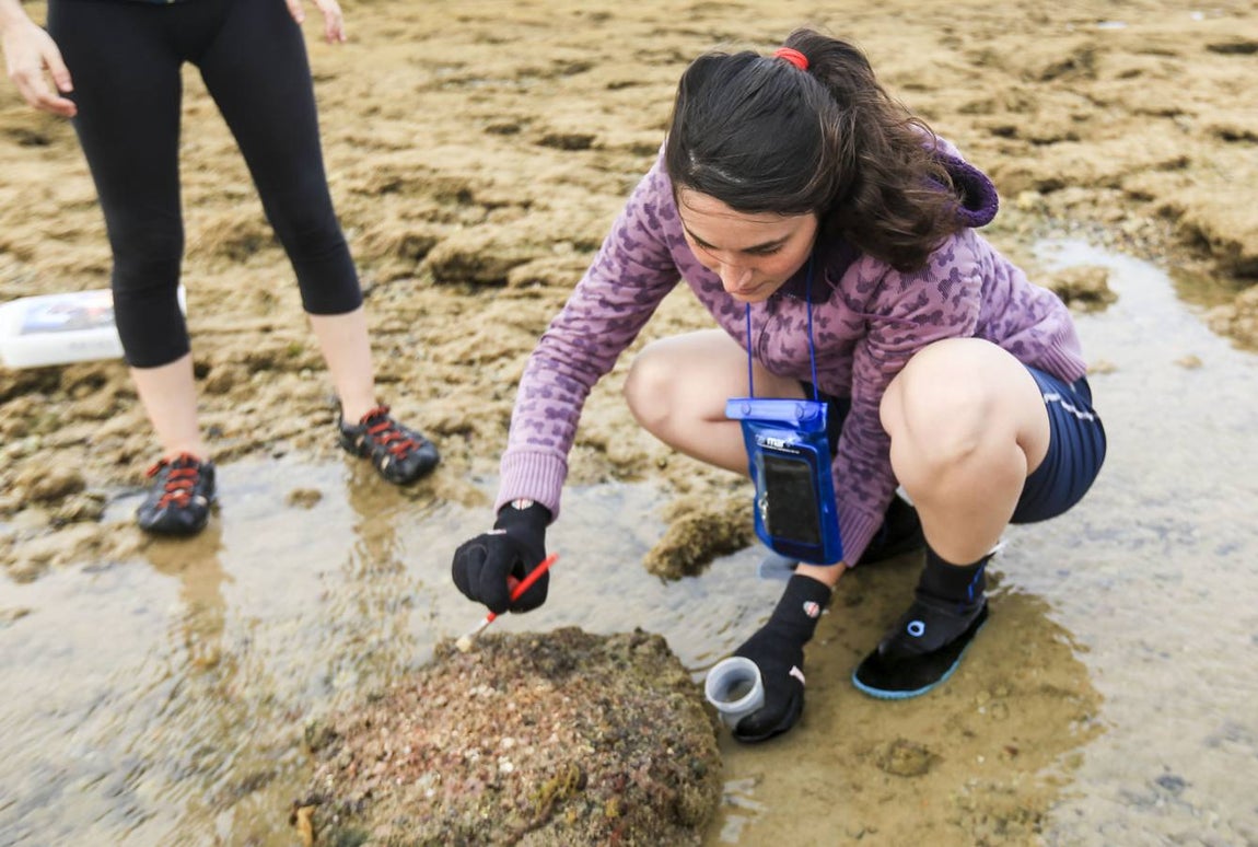 La biodiversidad de La Caleta