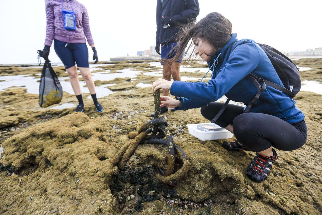 La biodiversidad de La Caleta