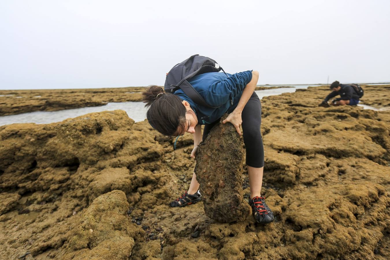 La biodiversidad de La Caleta