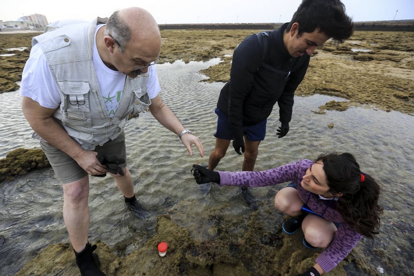 La biodiversidad de La Caleta