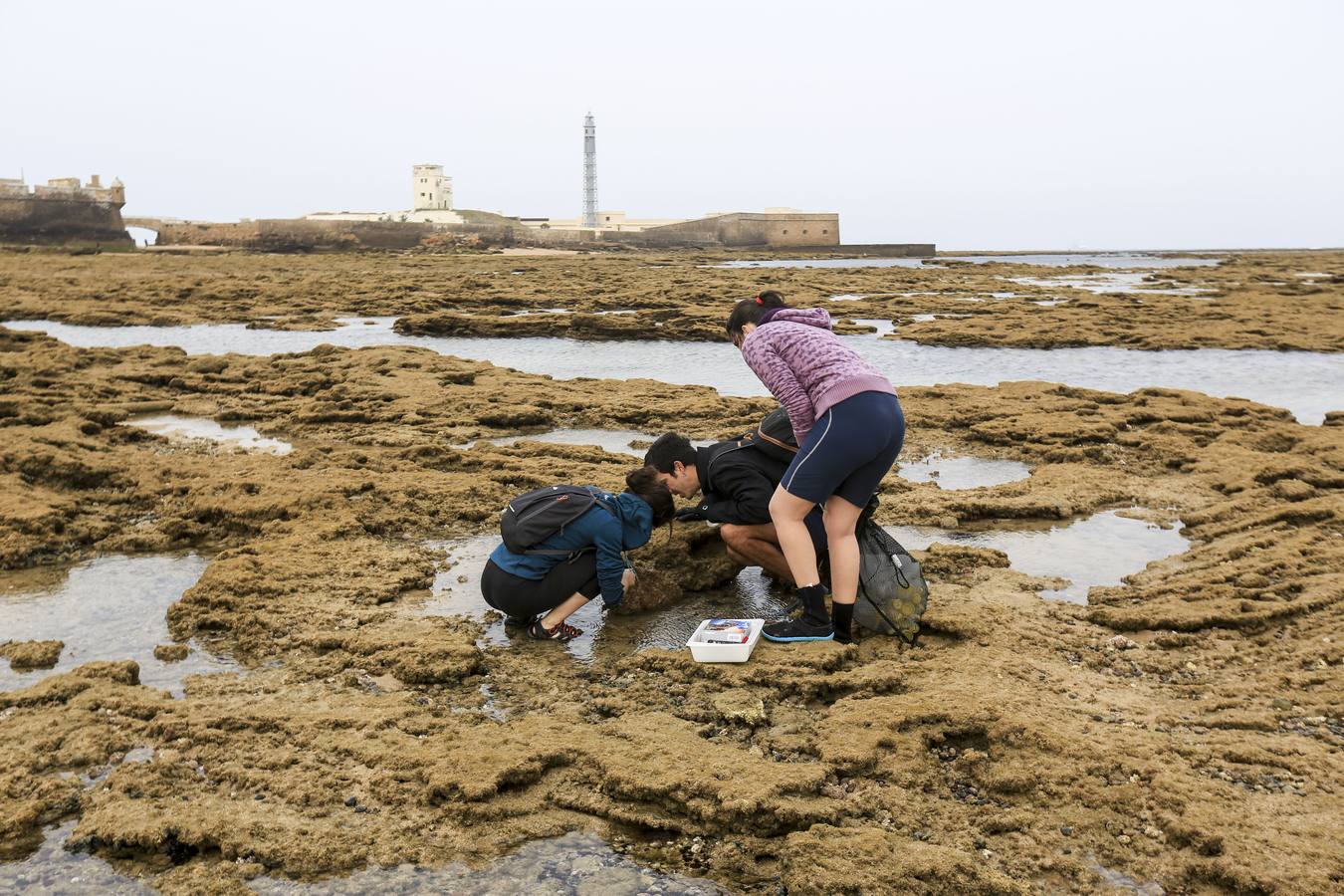 La biodiversidad de La Caleta