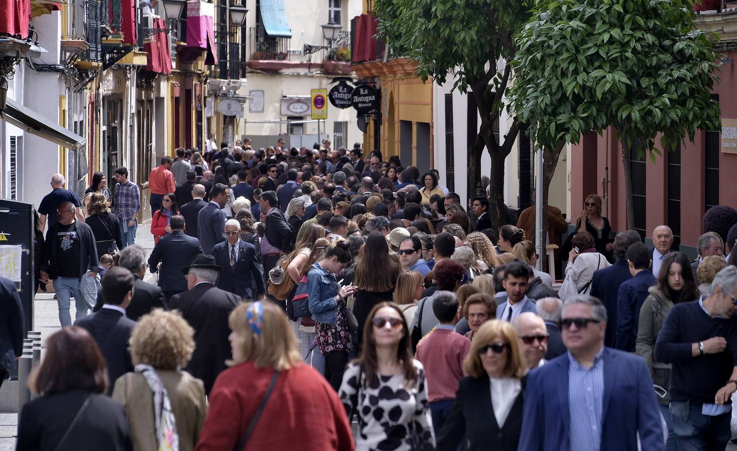 Triana acude a ver a su Esperanza este Jueves Santo