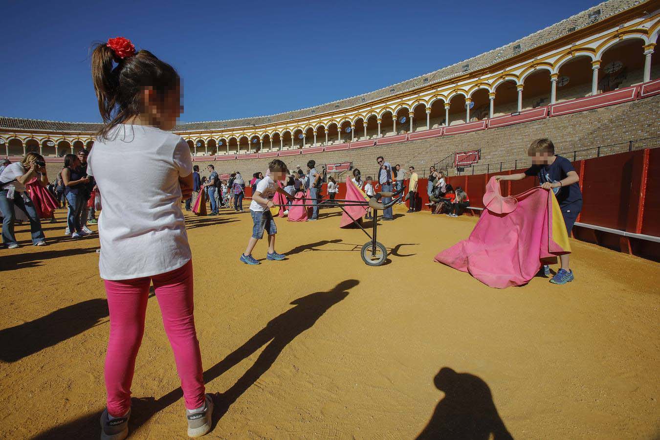 Jornada de puertas abiertas en la Plaza de Toros de la Real Maestranza de Sevilla