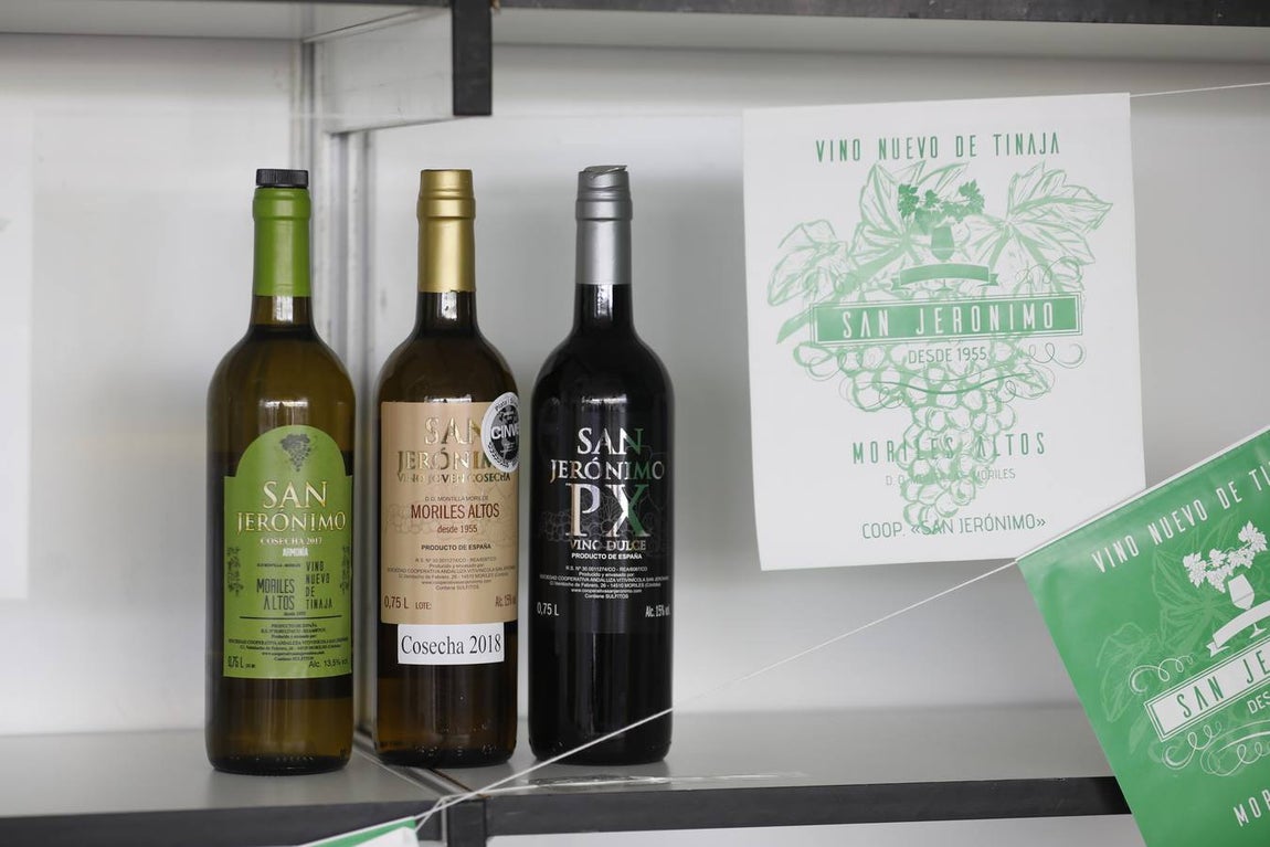 Las bodegas de la Cata del Vino Montilla-Moriles, en imágenes