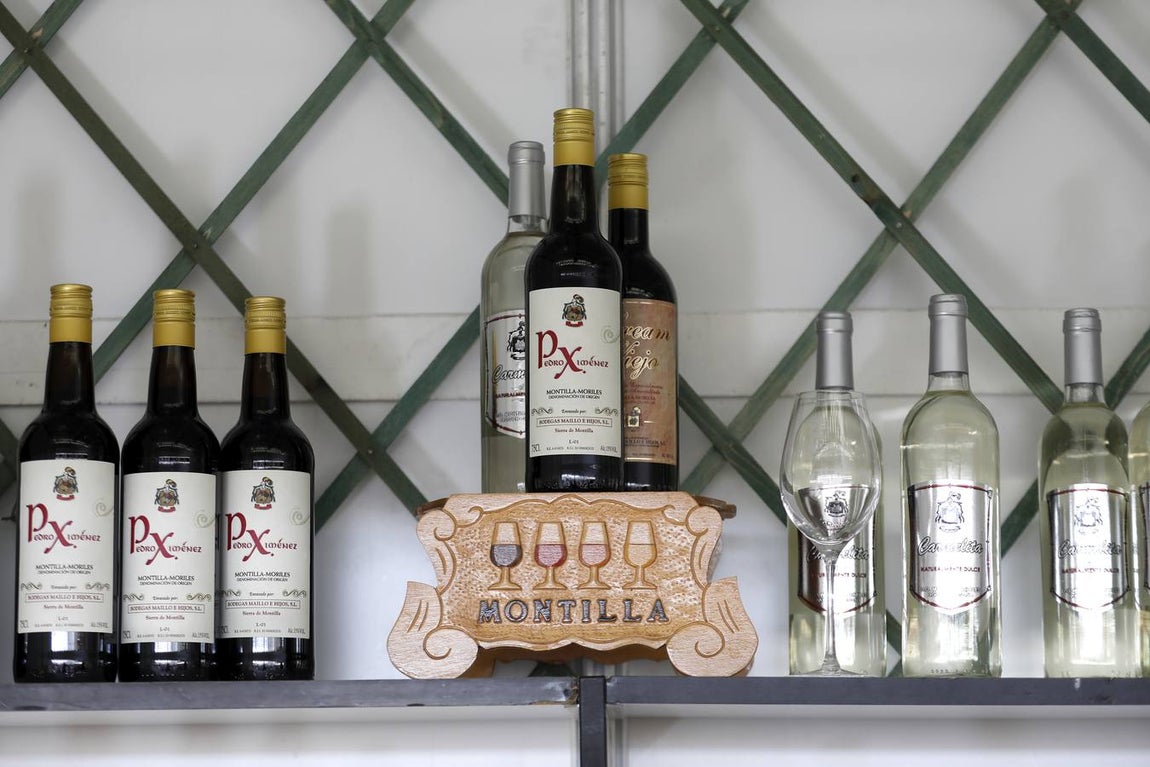 Las bodegas de la Cata del Vino Montilla-Moriles, en imágenes