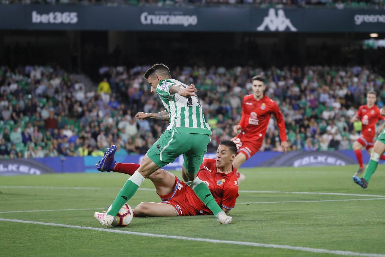 Las imágenes del Betis - Espanyol