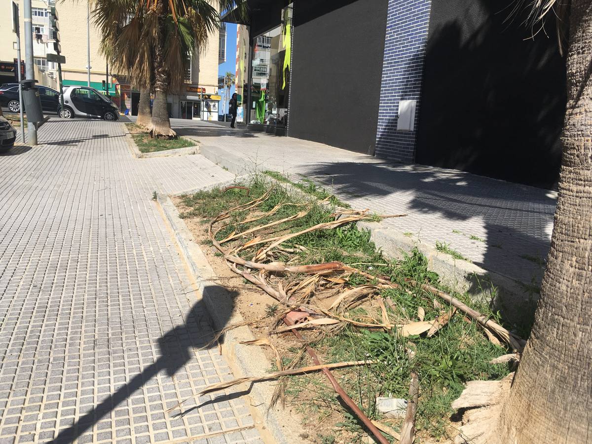 FOTOS: La huella de la suciedad en los barrios