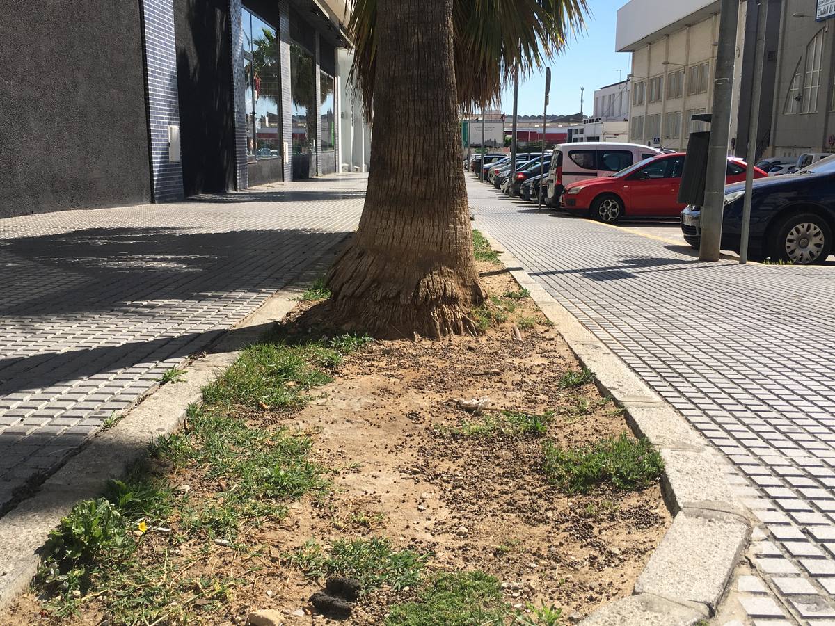 FOTOS: La huella de la suciedad en los barrios