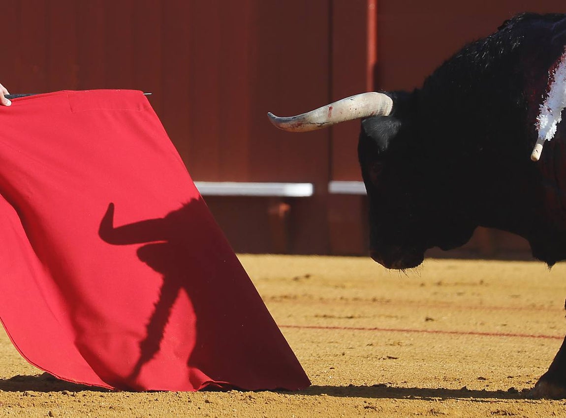 Roca Rey cuaja el mejor toro de la tarde en la Maestranza