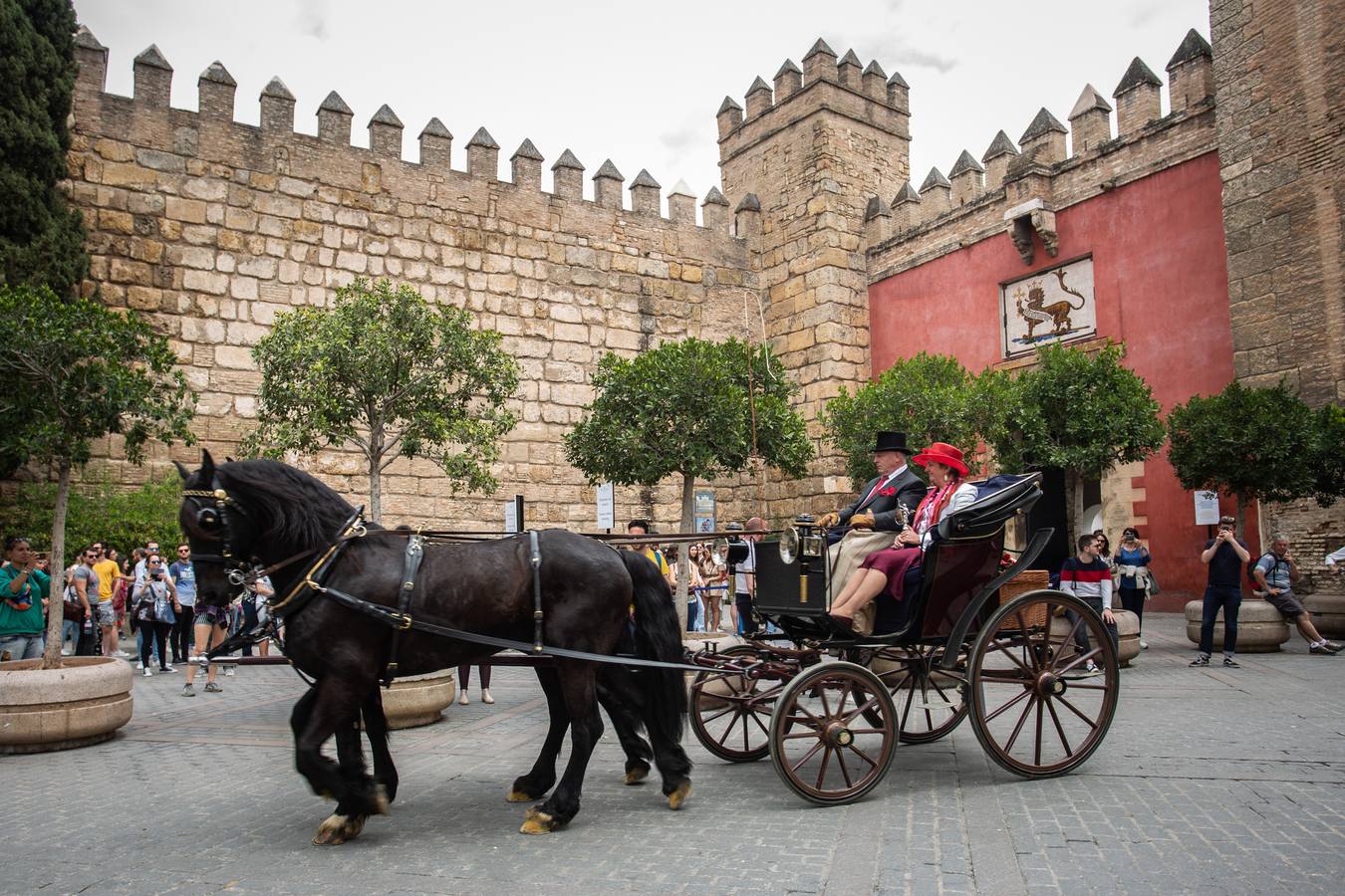 En imágenes, el Concurso y posterior paseo de los Enganches por Sevilla